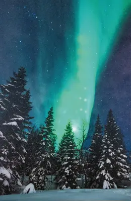 Anna's Collection LED canvas noorderlicht 38 x 58cm - afbeelding 1