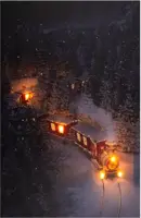 Anna's Collection LED canvas trein 38 x 58cm - afbeelding 2
