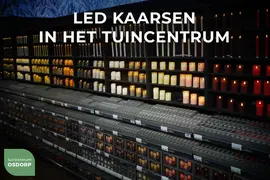 Anna's Collection LED dinerkaars 3D flame rustiek 23 cm ivoor 2 stuks - afbeelding 4