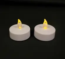 Anna's Collection LED jumbo theelicht flame effect 4.5cm wit 2 stuks - afbeelding 1