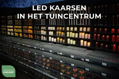 Anna's Collection LED kaars 3d flame rustiek set 7.5 cm bourgondië 3 stuks - afbeelding 2