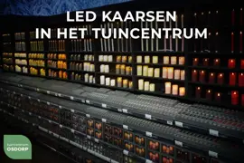 Anna's Collection LED kaars flame effect rustiek set 7.5 cm jade groen 3 stuks - afbeelding 2