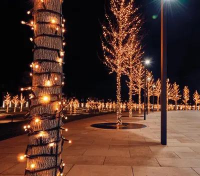 Anna's Collection LED kerstverlichting Connect de Luxe 100 flitsende lampjes 10m, classic warm - afbeelding 1
