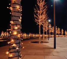 Anna's Collection LED kerstverlichting Connect de Luxe 100 flitsende lampjes 10m, classic warm - afbeelding 1