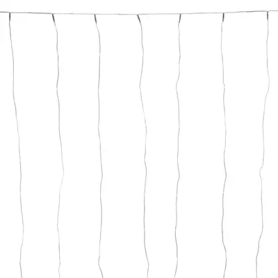 Anna's Collection LED kerstverlichting gordijn 200 lampjes 100 x 200cm - afbeelding 1