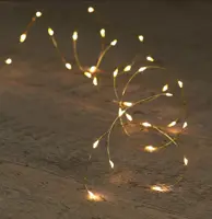 Anna's Collection LED kerstverlichting gouddraad 20 lampjes 1m - afbeelding 1