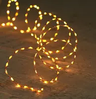 Anna's Collection LED kerstverlichting koperdraad 66 lampjes 1m, classic warm - afbeelding 1
