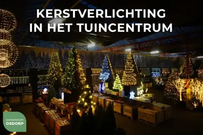 Anna's Collection LED kerstverlichting treecluster 1920 lampjes 25m, classic warm - afbeelding 5