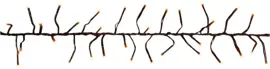 Anna's Collection LED kerstverlichting treecluster 768 lampjes 10m, classic warm - afbeelding 3