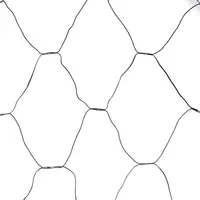 Anna's Collection LED netverlichting 240 lampjes 2 x 2m zwart draad, classic warm - afbeelding 1