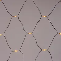Anna's Collection LED netverlichting 480 lampjes 2 x 4m zwart draad, classic warm - afbeelding 3