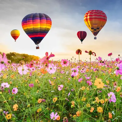Anna's Collection tuinschilderij luchtballonnen 78x78cm multi