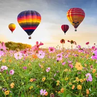 Anna's Collection tuinschilderij luchtballonnen 78x78cm multi kopen?