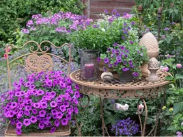 Anna's Collection tuinschilderij paarse bloemen 78x58cm multi kopen?