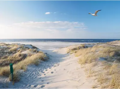 Anna's Collection tuinschilderij strand zeemeeuw 78x2cm multi