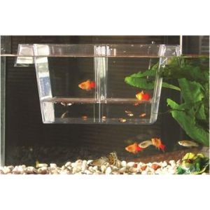 Aquarium onderhoud & techniek