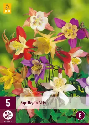 Aquilegia mix 5 stuks - afbeelding 1