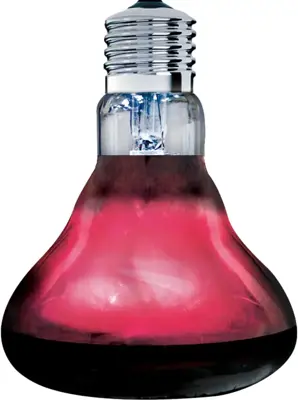 Arcadia infrarood warmtespot 150W E27 - afbeelding 2