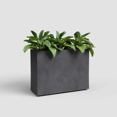 Artevasi sydney hoog kunststof plantenbak 29.5x79.5x68cm antraciet - afbeelding 2