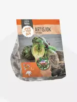 Artisjok 1 stuks kopen?