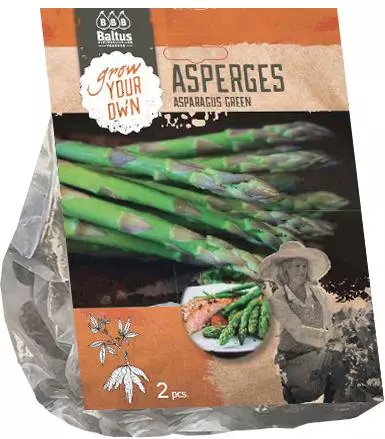 Asparagus groen 2 stuks - afbeelding 1