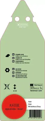 Aster Ageratoides Asran (Herfstaster) - afbeelding 2