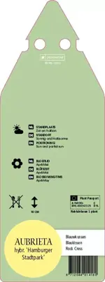 Aubrieta Hybr. Hamburger Stadtpark (Randjes bloem) - afbeelding 2