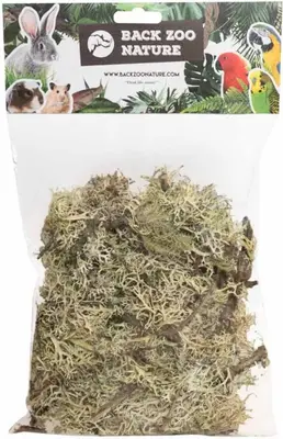 Back Zoo Nature Discovery Branch Moss – 50 g - afbeelding 1