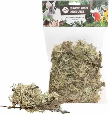 Back Zoo Nature Discovery Branch Moss – 50 g - afbeelding 2