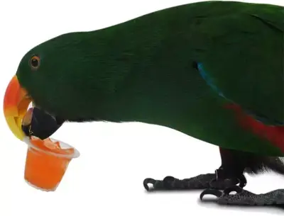 Back Zoo Nature zak à 6 fruitcup mix - afbeelding 3