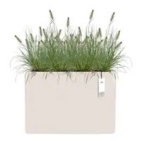 Bak pc june brick divider l80cm lwt - afbeelding 2