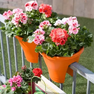 Balkon planten