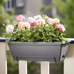 Balkonbakken & -potten