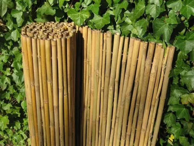 Bamboe rolscherm dalian 35x200 cm - afbeelding 2