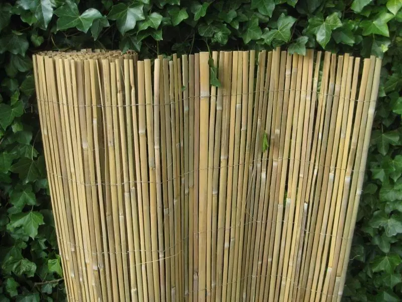 Verbergen partitie antwoord Bamboemat gespleten 200x500 cm kopen? - tuincentrum Osdorp :)