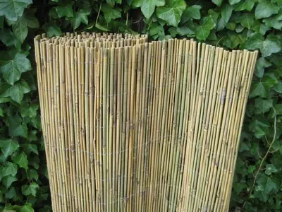 Bamboemat vol 200x300 cm