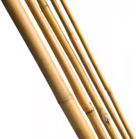 Bamboestok 300cm d20-22mm 3st - afbeelding 1