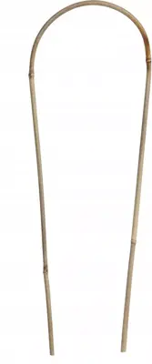 Bamboestok gebogen h150cm naturel - afbeelding 2