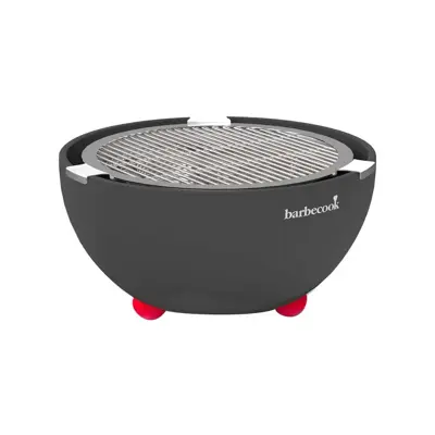 Barbecook Joya tafelbarbecue met 4 tangen rvs - afbeelding 1