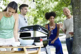 Barbecook pizza-oven voor Magnus houtskoolbarbecue - afbeelding 2