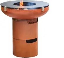 Barbecook vuurschaal jack met plancha +2x voet - afbeelding 1