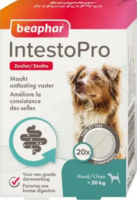 Beaphar IntestoPro tabletten hond vanaf 20kg
