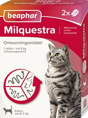 Beaphar Milquestra kat 2-12kg 2 tabletten