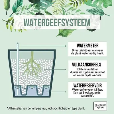 Beautanic Lifestyle Superfood 500ml - Voeding voor Hydrocultuurplanten - afbeelding 3