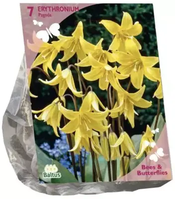 Bees & Butterflies - erythronium 7 stuks - afbeelding 1