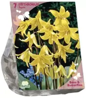 Bees & Butterflies - erythronium 7 stuks - afbeelding 1