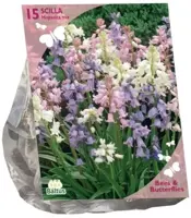 Bees & Butterflies - scilla hispanica. wit 15 stuks - afbeelding 1
