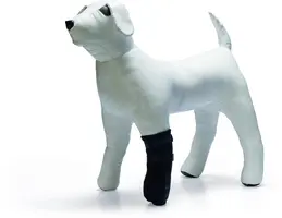 Beeztees beschermingsschoen neopr m zwart kopen?