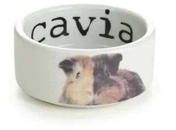 Beeztees caviavoerbak Snapshot keramiek 200ml 10x10x4cm wit
