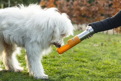 Beeztees drinkfles hond Loe plastic 532ml d7.5h26cm - 3 kleuren - afbeelding 7